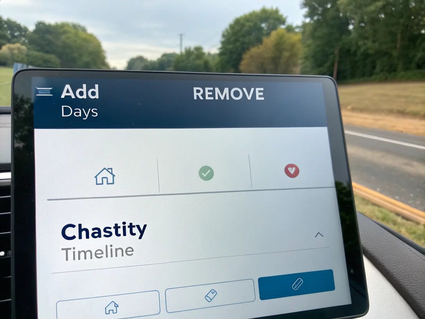 A screenshot of the ChastityTracker dashboard, highlighting the intuitive interface for adding or removing days from the chastity timeline. The image should convey ease of use and clear visual feedback.